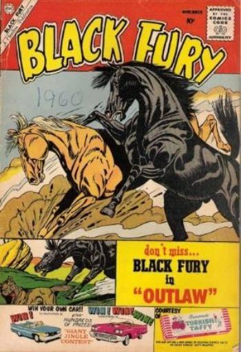 Black Fury #27