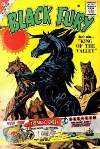 Black Fury #28