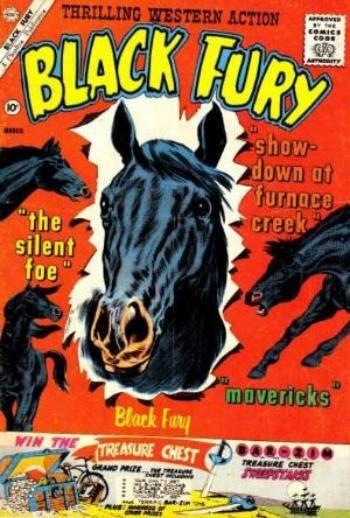 Black Fury #29