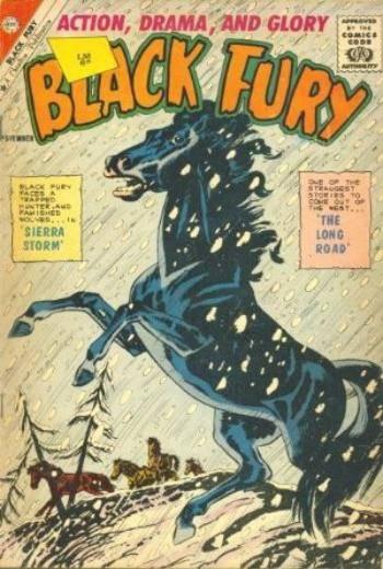 Black Fury #33