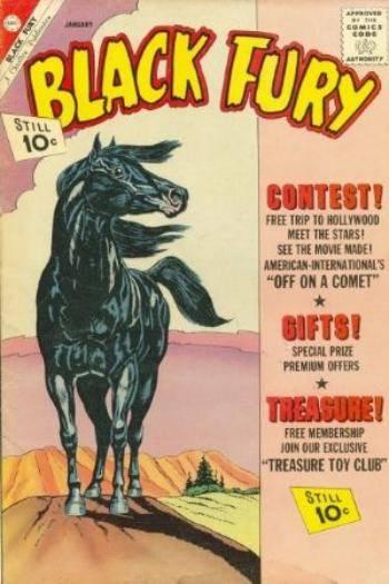 Black Fury #34
