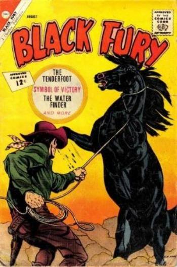 Black Fury #37