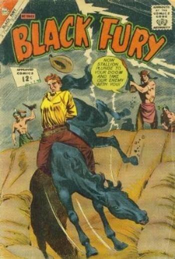 Black Fury #38