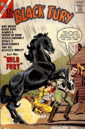 Black Fury #40