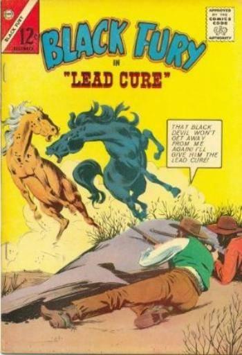 Black Fury #45
