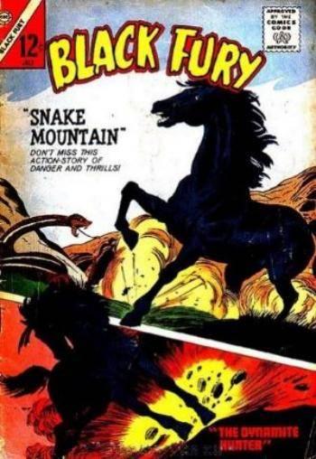Black Fury #48