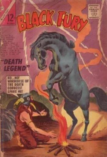 Black Fury #49