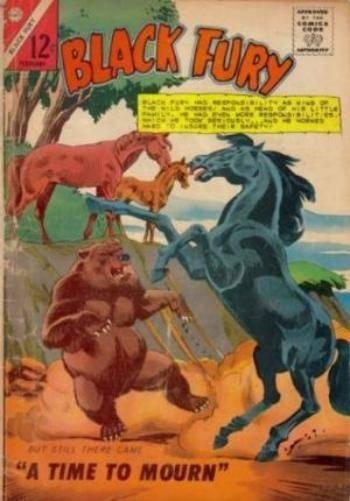 Black Fury #51