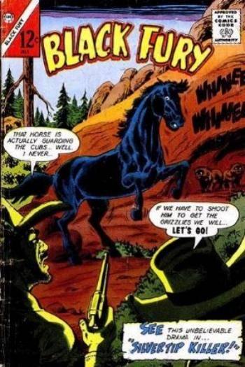 Black Fury #53