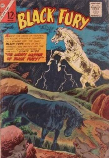 Black Fury #56