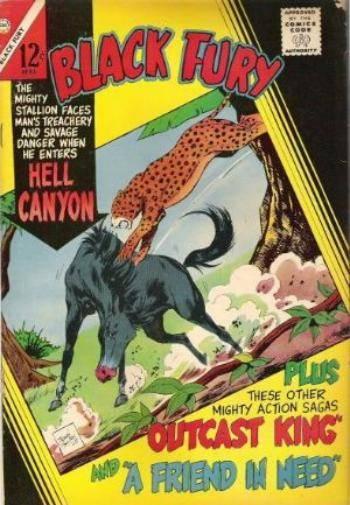 Black Fury #57