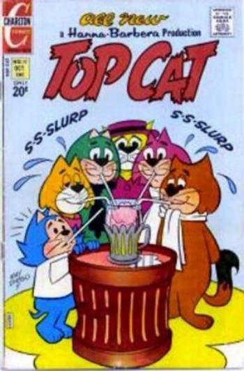 Top Cat #13