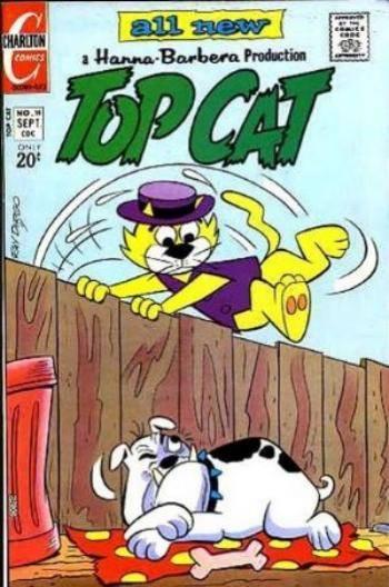 Top Cat #19