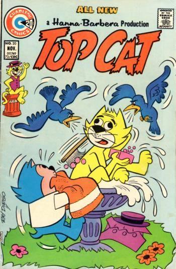 Top Cat #20