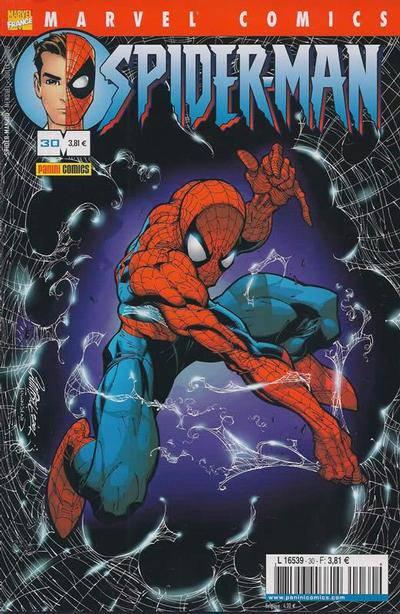 Spider-Man #30