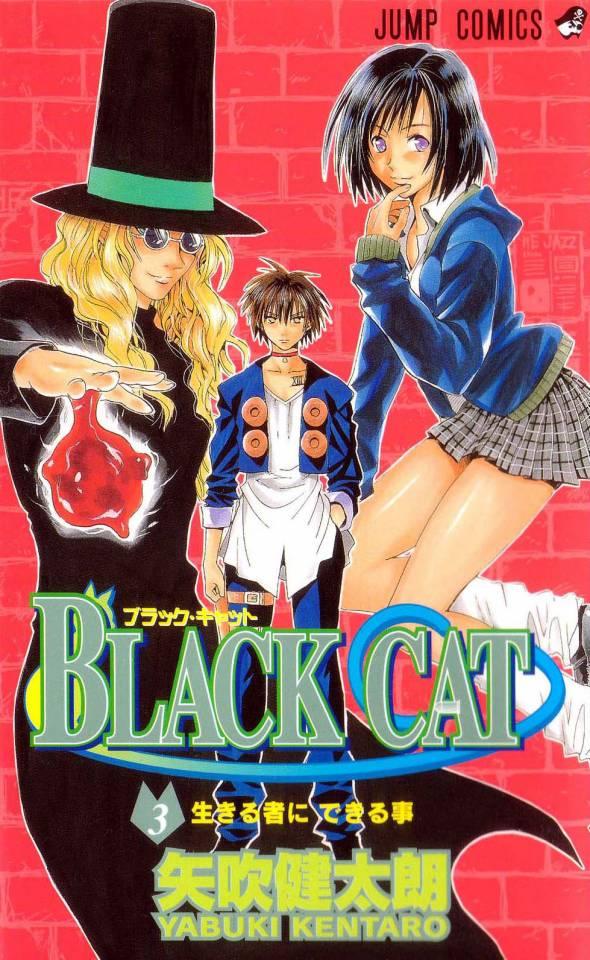 Black Cat #3