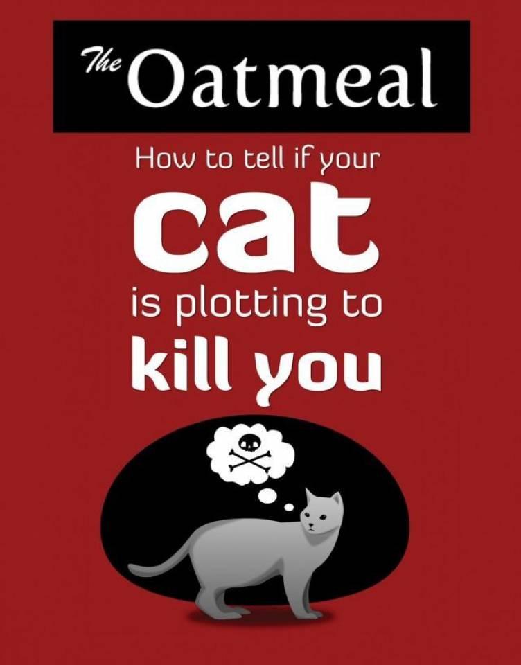 How to Tell If Your Cat Is Plotting to Kill You cover — © Andrews McMeel Publishing