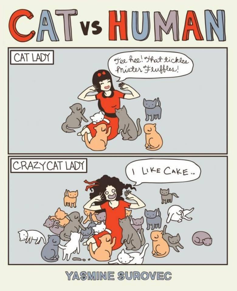 Cat vs Human