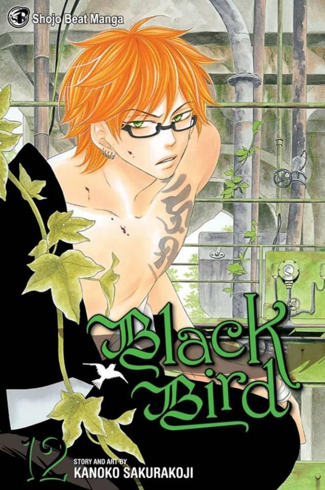Black Bird #12