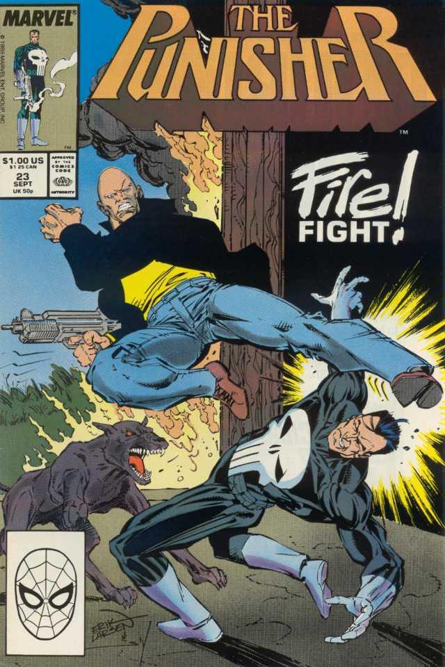 The Punisher #23