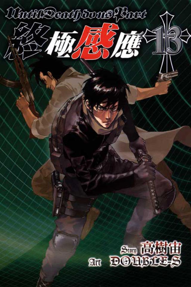 Zhōngjí Gǎnyìng #13 cover