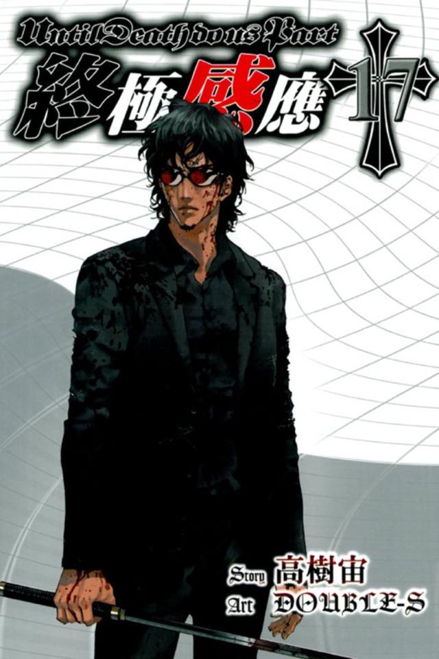 Zhōngjí Gǎnyìng #17 cover