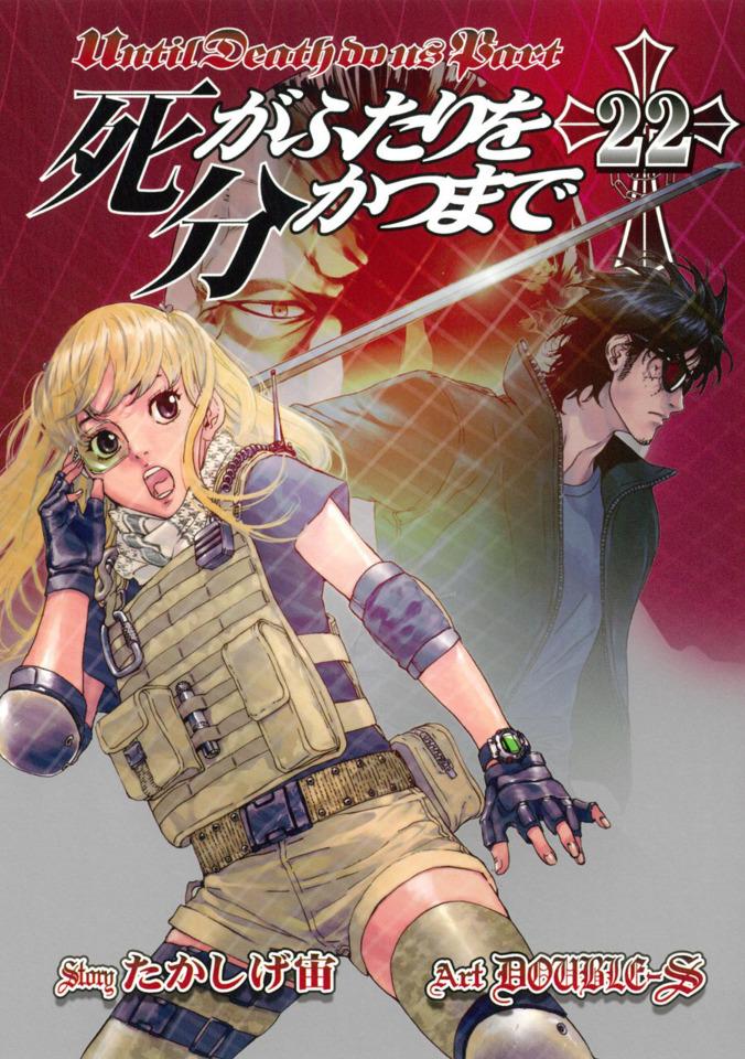 Shi ga Futari wo Wakatsu Made #22 cover
