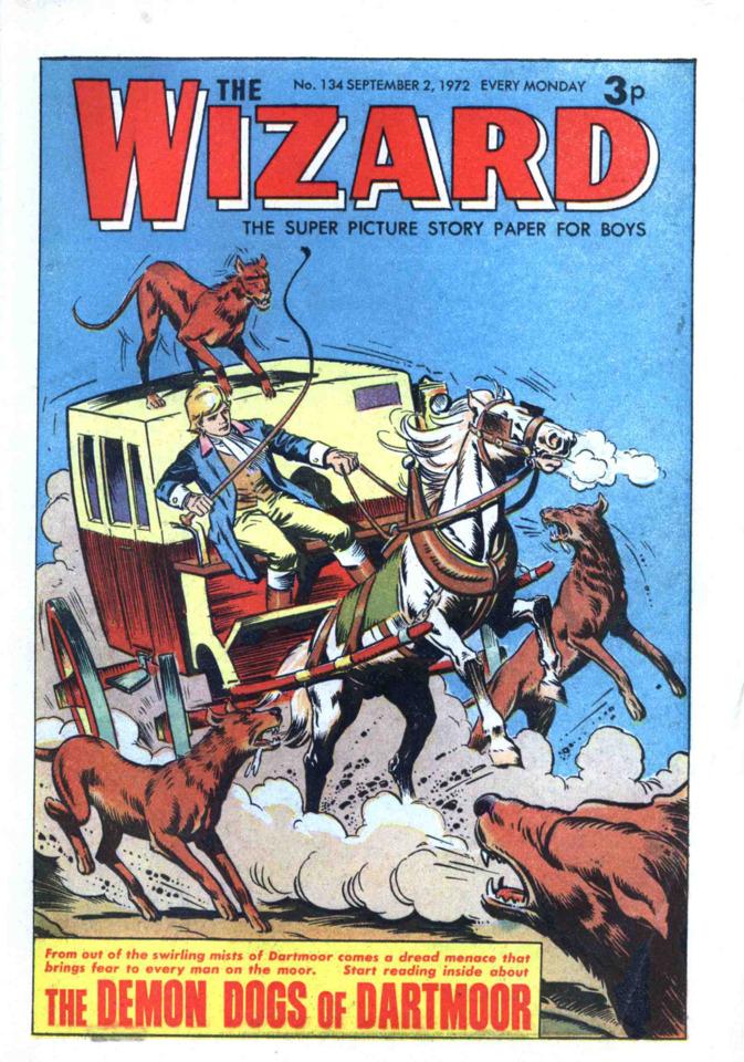 Wizard #134