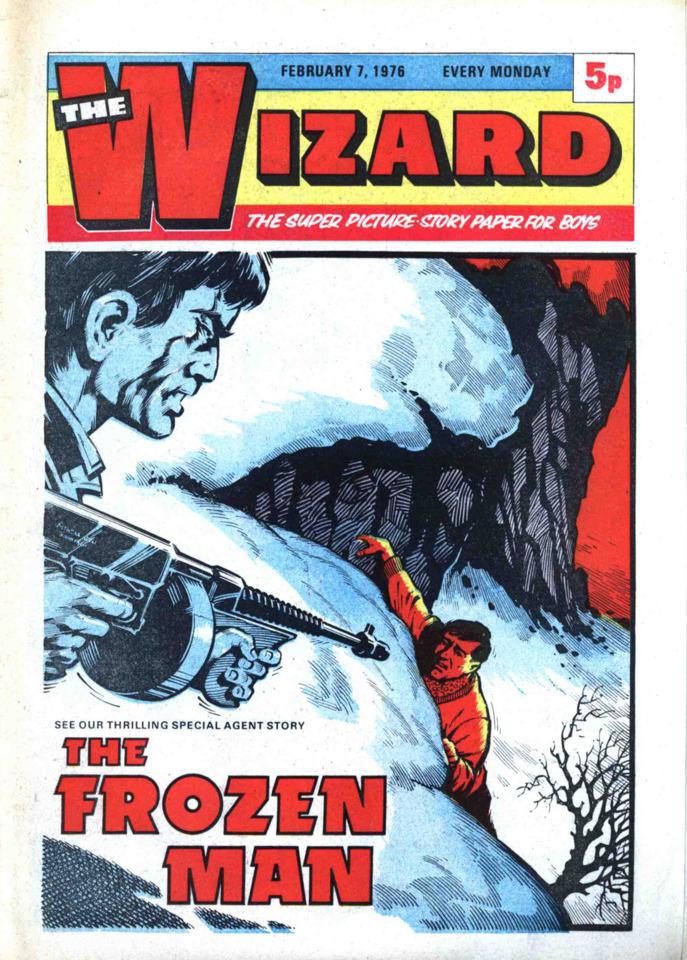 Wizard #313 cover