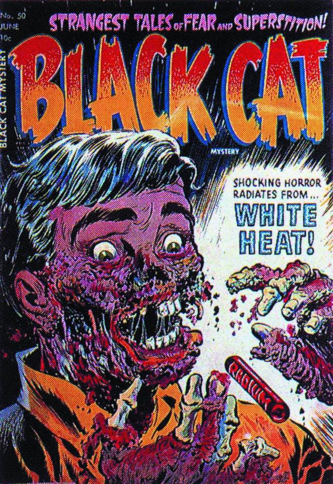 Black Cat Mystery