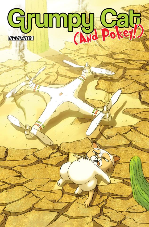Grumpy Cat & Pokey #3