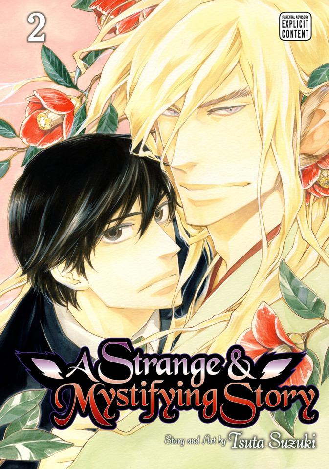 A Strange & Mystifying Story #2