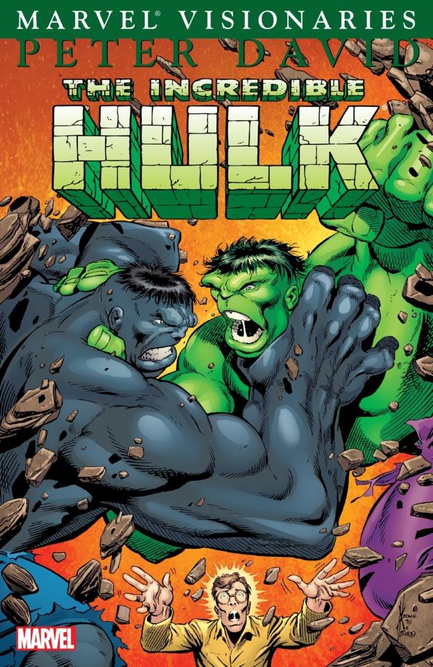 Hulk Visionaries: Peter David #6