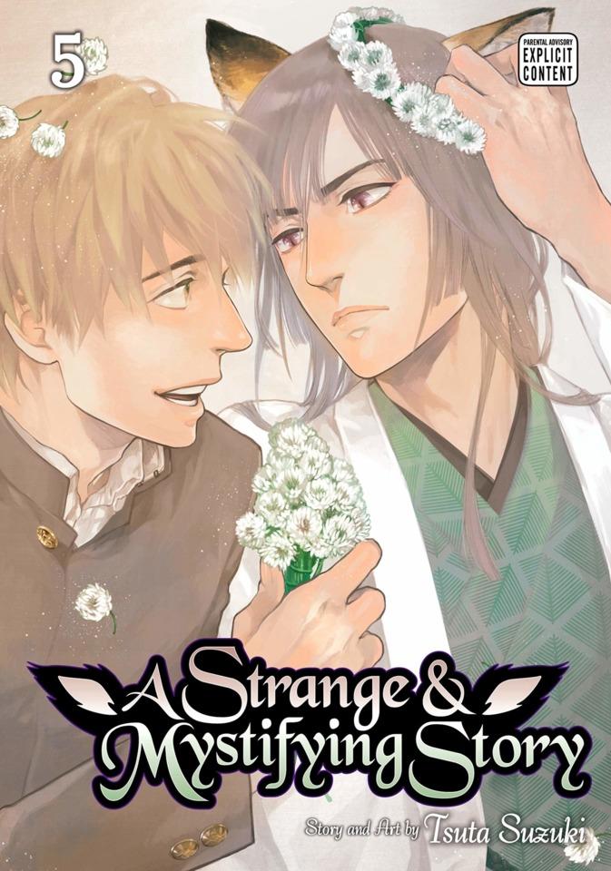 A Strange & Mystifying Story #5