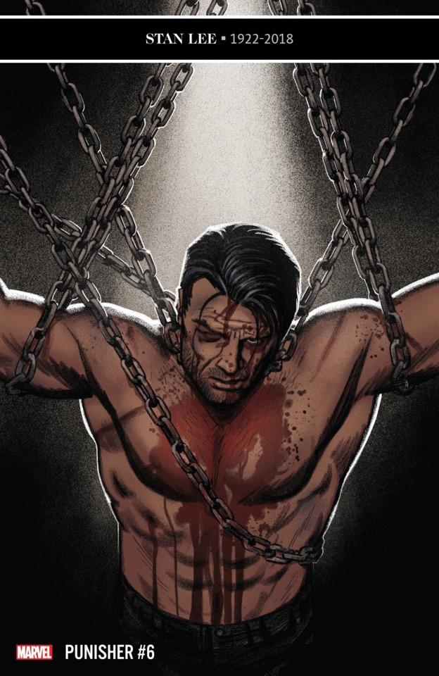 The Punisher #6 cover