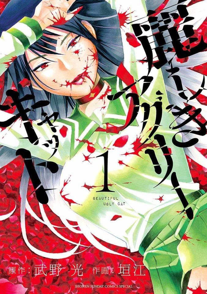 Uruwashiki Ugly Cat