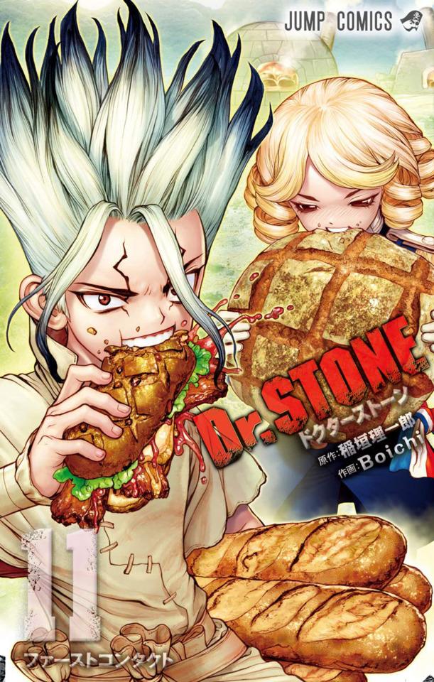 Dr. Stone #11 cover