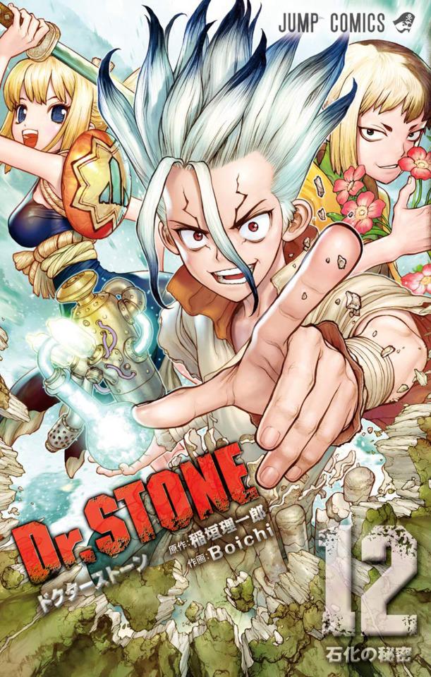 Dr. Stone #12 cover
