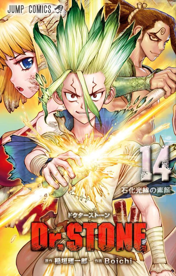 Dr. Stone #14 cover