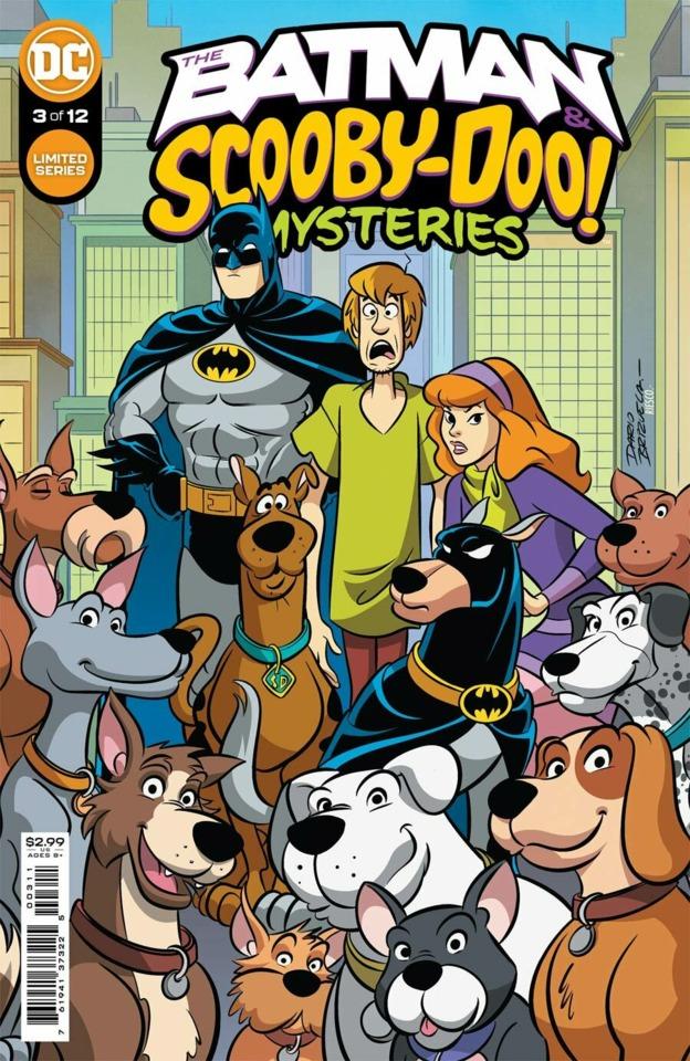 The Batman & Scooby-Doo Mysteries #3
