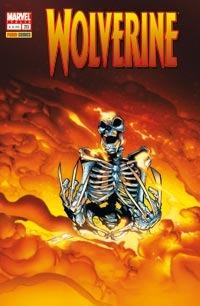 Wolverine 213