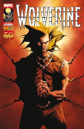 Wolverine 260