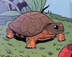 Hellboy the Turtle
