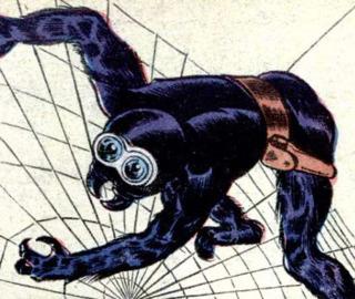 The Spider