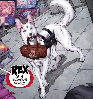Rex the Wonder Dog