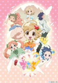 DVD Edition
