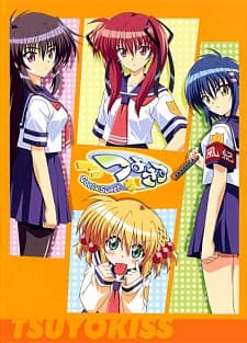 DVD Edition
