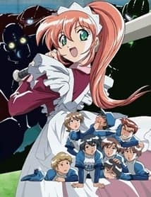 DVD Edition