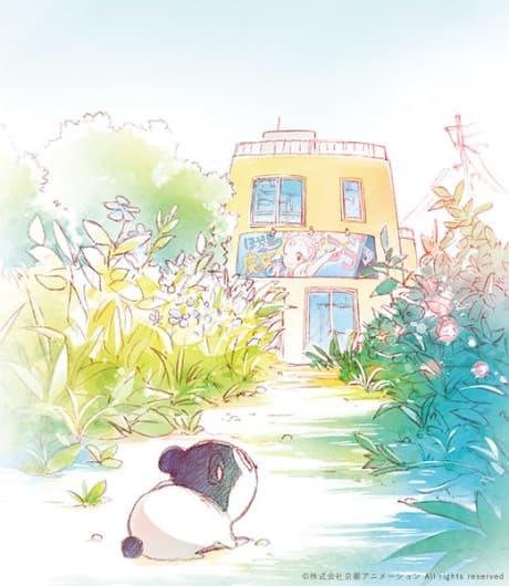 DVD Edition