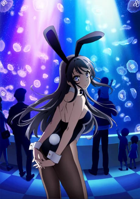 Rascal Does Not Dream of Bunny Girl Senpai - Complete Set (Sub.Blu-ray)